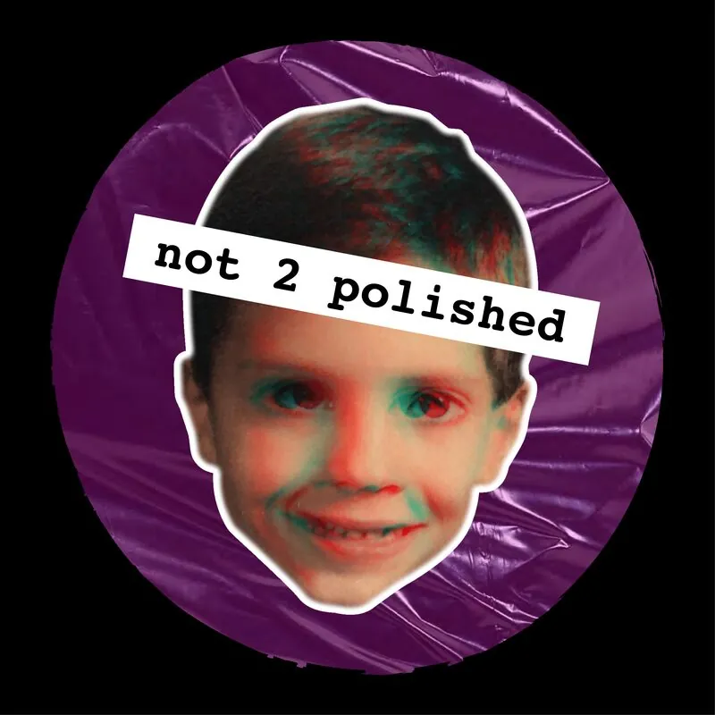 n2p logo — purple circle with trash bag texture
