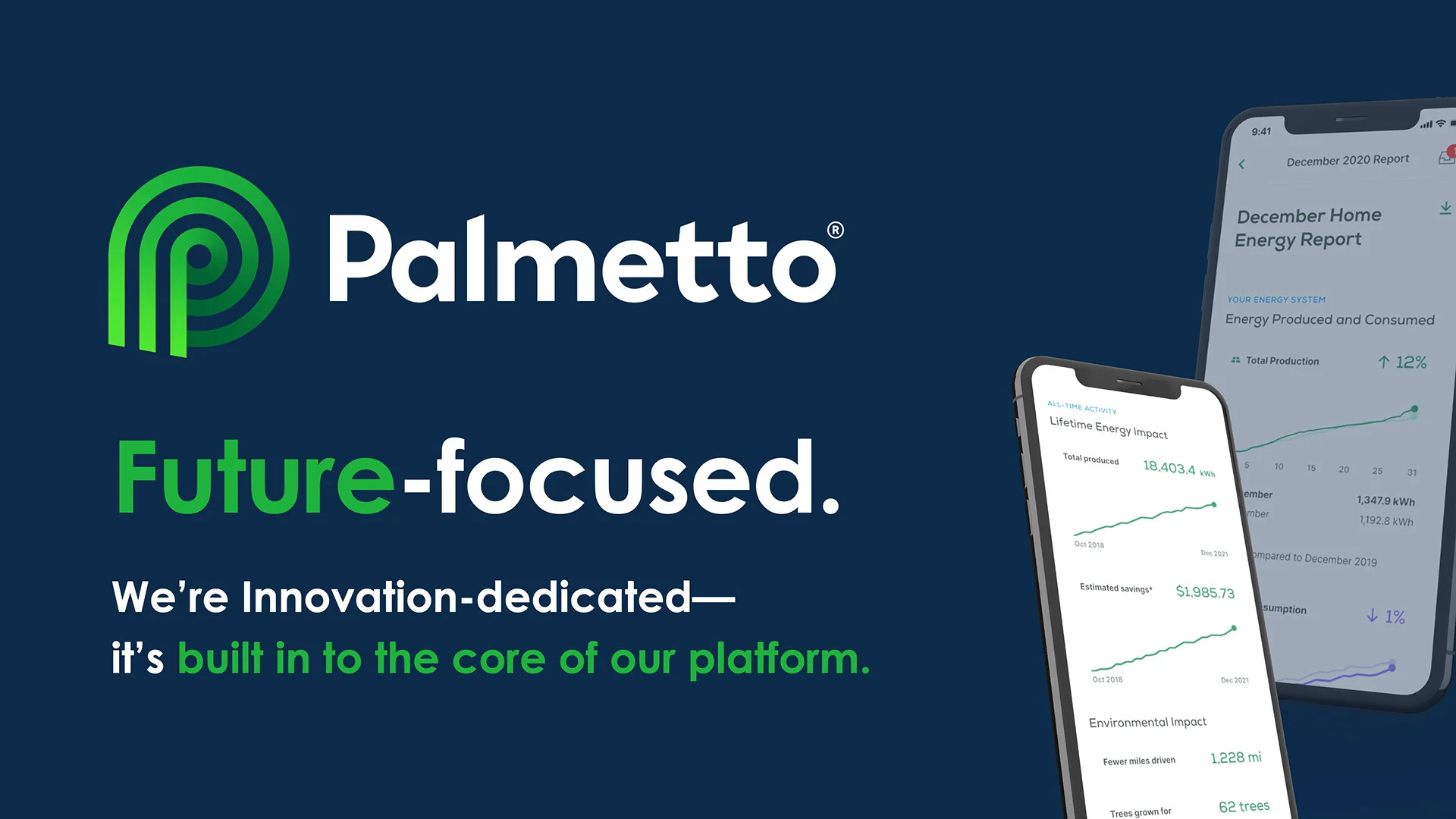 Palmetto vision slide
