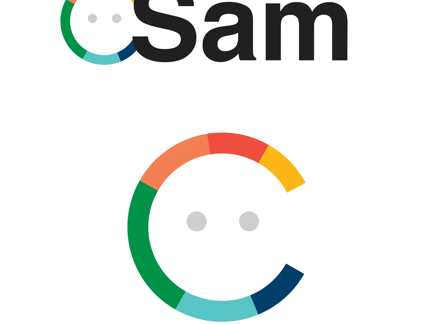 SAM color wheel mark - large