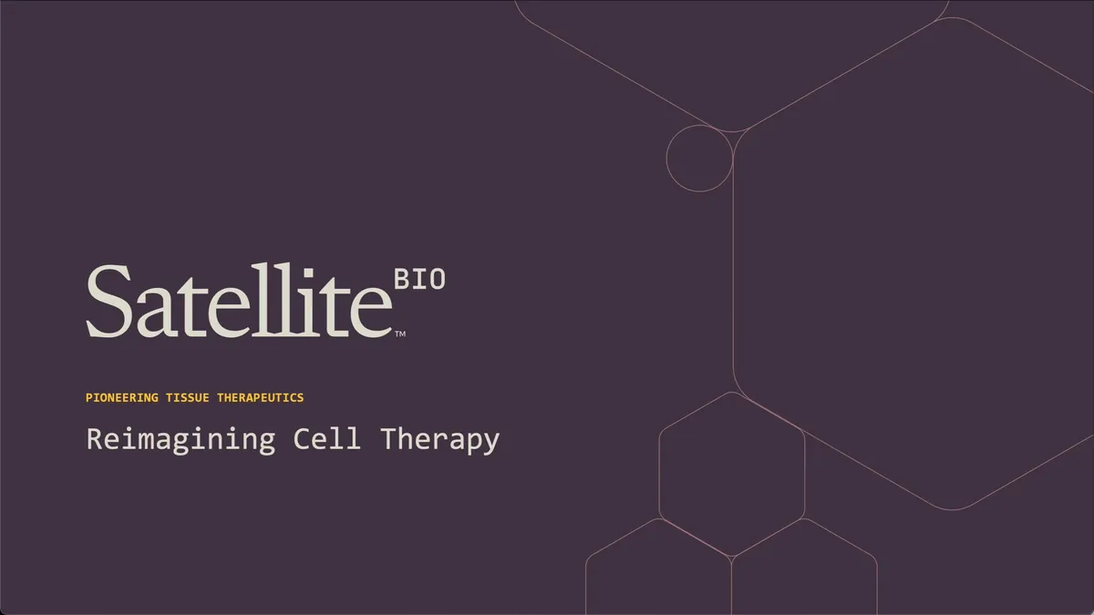 Satellite Bio presentation design