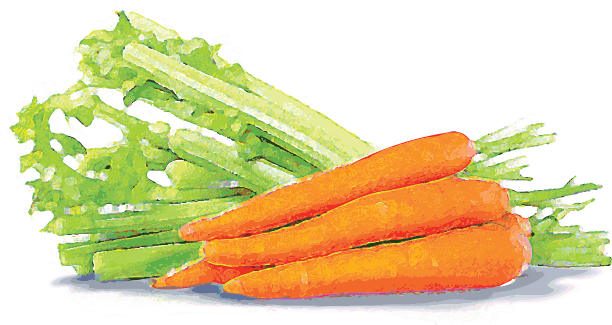 Cellulose watercolor illustration