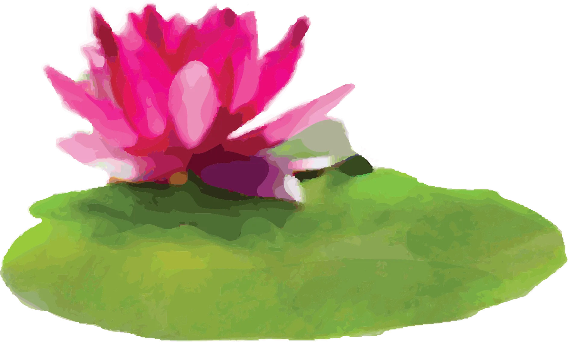 Gellan watercolor illustration